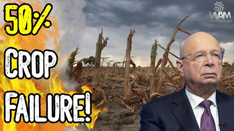 HUGE! 50% CROP FAILURE! - Leaked Documents WARN Of Famine! - Inflation SKYROCKETS!