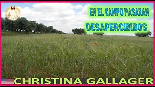 EN EL CAMPO PASARAN DESAPERCIBIDOS - MENSAJE DE JESUCRISTO REY CHRISTINA GALLAGER