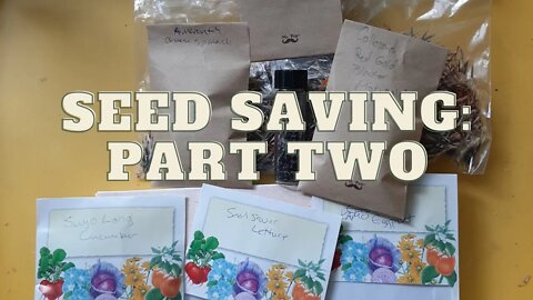 Seed Saving Part 2