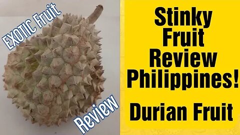 PHILIPPINES: EXOCTIC FRUIT REVIEW- Durian Fruit!