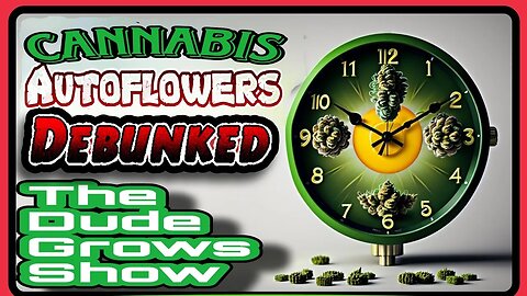 Mastering Autoflower Cannabis Cultivation?? Tips & Tech for Home Growers - The Dude Grows 1,466