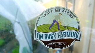 Leave Him Alone, He's Busy FARMING!! (Part 2) #gardening #trending #permaculture