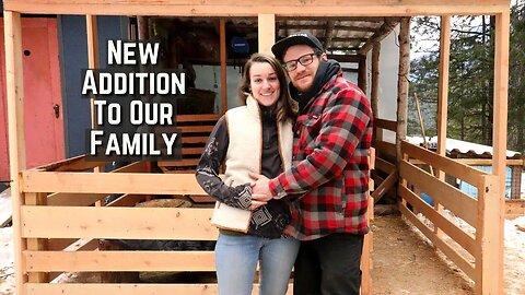 We're Having KIDS | Real Off Grid Homesteading