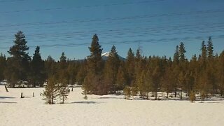 Amtrak Coast Starlight dining car view