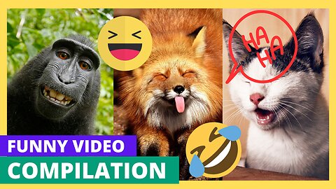 very funny cat and dogs compilation-😂😂😂😂😂😂😂- #short