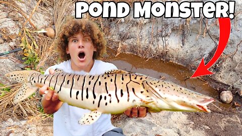 I Caught A POND MONSTER In BLACK MUD POND!