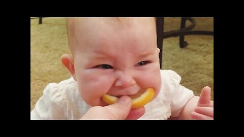 BABY Lemon Eating Challenge: What a Taste !!!!