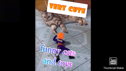 Cats playing withith toys,very cute#cats and dogs