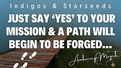 Indigos & Starseeds, Saying YES To Your Mission Begins to Forge a Path You Never Thought Possible