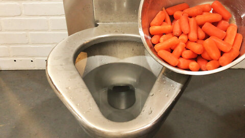 Prison Toilet Vs WHOLE BAG of Carrots - Will it Flush?