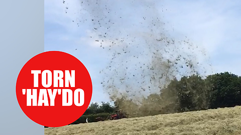 Mini twister known as a 'dust devil' whips hay 200ft into the air
