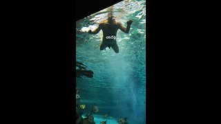 Man Goes Skinny Dipping in Toronto Aquarium