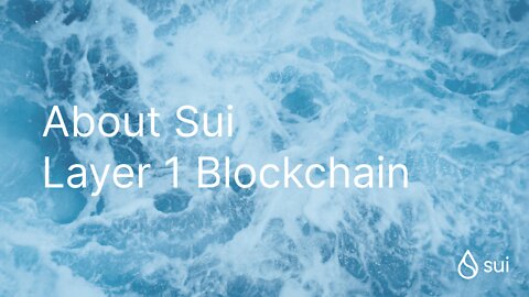 Sui blockchain em desenvolvimento por exs facebook