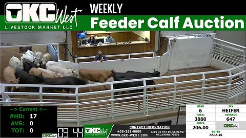 5/10/2023 - OKC West Feeder Calf Auction