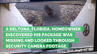 Age 6 Boy Forced to Steal Packages Left at Front Door. And It Wasn’t by His Parent