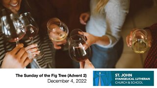 The Sunday of the Fig Tree (Advent 2) - December 4, 2022