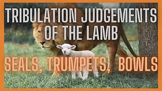 The tribulation judgements of the Lamb , trumpets, seals and bowls/vials in Revelation.