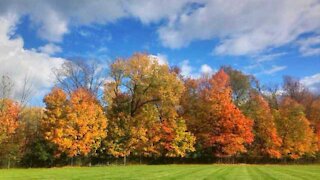 These are the best roads where you can see fall colors in metro Detroit