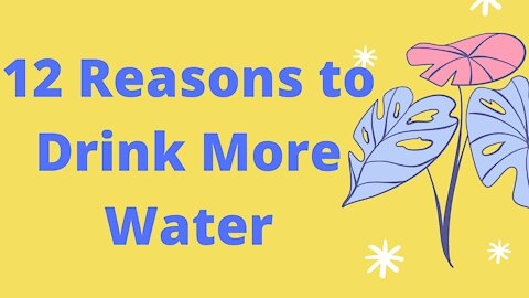 12 Reasons to Drink More Water