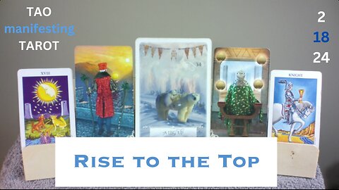 RISE TO THE TOP