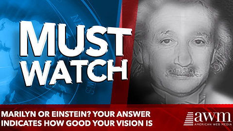 Marilyn or Einstein? Your answer indicates how good your vision is