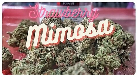 Strawberry Mimosa THC-A (JK Distro)