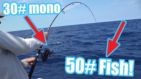 What it looks like to FIGHT a BIG 50# FISH on 30# mono