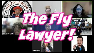 The Fly Lawyer (I Am Not Kidding)