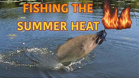 Fishing Summer Heat for Summer Bass