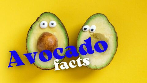 interesting facts about AVOCADO