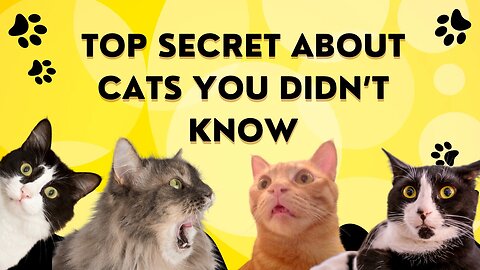 Unlocking the mysteries of cats: Surprising fun facts 3