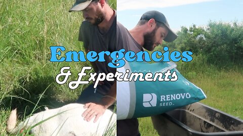 Emergencies and Experiments
