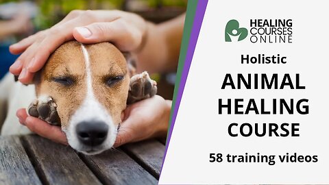 ANIMAL ENERGY HEALING TRAINING COURSE ONLINE | HELP YOUR PET | ANIMAL HEALING COURSE - CERTIFIED