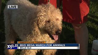 Mega March for Animals