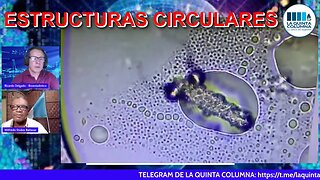 ESTRUCTURAS CIRCULARES