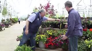 Hanging Baskets for Mother's Day