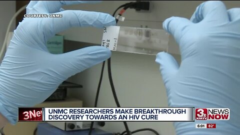 Researchers Successfully Cure HIV in an Animal for First Time Ever
