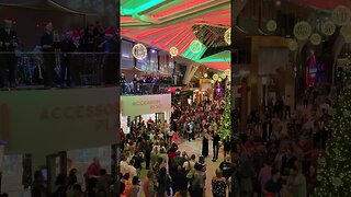 A Festive Celebration: The Tree Lighting Ceremony on Royal Caribbean's Wonder of the Seas!