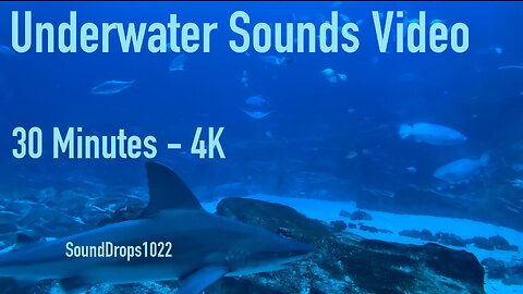 The Most Refreshing Nap From 30 Minutes Of Underwater Sounds Video