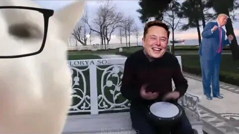 Elon 'free copter rides' Musk New Tesla Phone with Twitter X, BANS Commies, Soyboys, Cat ladies.