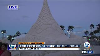 Sandi Tree lights up the downtown West Palm Beach waterfront