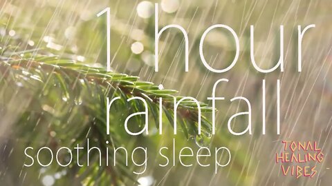 1 Hour Soothing Rain Sounds for Sleep, Study, & Relaxation | No Music, Just Nature