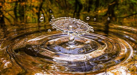 Gentle water stream in forest – Slow gurgle water