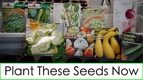 Spring is Here; Plant These Seeds Now