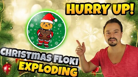 Christmas Floki - OUTSTANDING OPPORTUNITY -3th Project from this Team