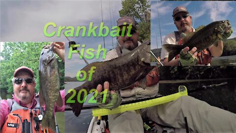 Crankbait Fish of 2021