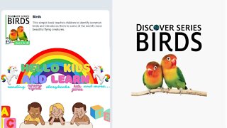 Discover Series - Birds