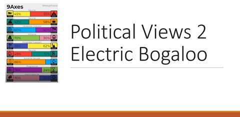 Political Views 2 (Electric Bogaloo)