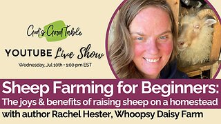 Sheep Farming for Beginners: The Joys & Benefits of Raising Sheep on a Homestead