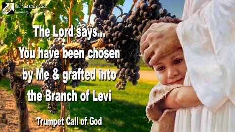 Aug 31, 2004 🎺 Timothy, you've been chosen by Me and are grafted into the Branch of Levi